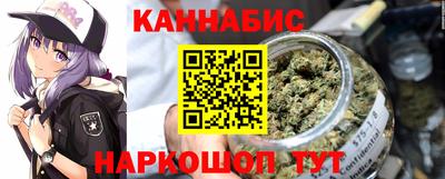 амф Гатчина