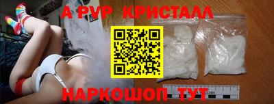 амф Гатчина