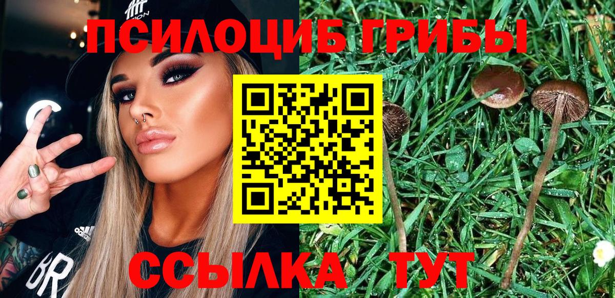 Галлюциногенные грибы Magic Shrooms  Вход с VPN  Гурьевск  Галлюциногенные грибы мухоморы 