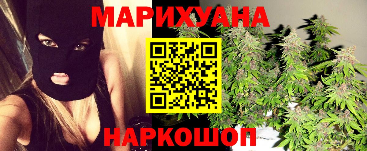 Бошки Шишки план  Вход с VPN  Гурьевск  Каннабис гибрид 